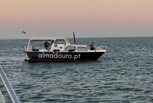 Porto: Kreuzfahrt zu den 6 Brücken mit Portweinverkostung und optionalem Sonnenuntergang