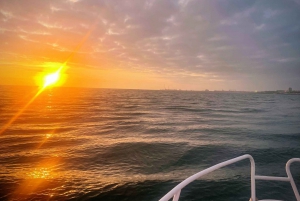 Porto: Kreuzfahrt zu den 6 Brücken mit Portweinverkostung und optionalem Sonnenuntergang