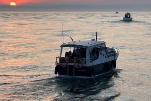 Porto: Kreuzfahrt zu den 6 Brücken mit Portweinverkostung und optionalem Sonnenuntergang