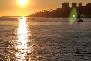 Porto: tour giornaliero condiviso, con bevande e snack