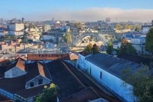 Porto : Visite touristique