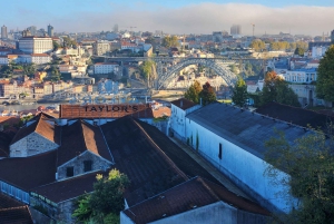 Porto: Sightseeingtur