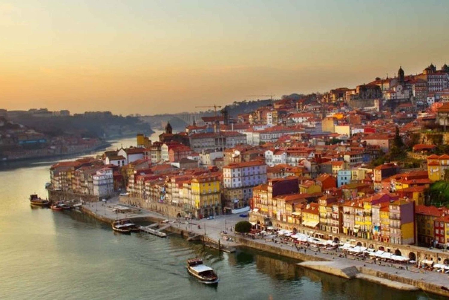 Oporto: Ruta del Vino de Oporto con 7 Catas de Oporto