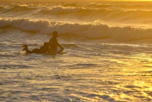 Porto: Surfing w małej grupie z transportem