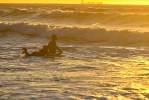 Porto: Small Group Surfing Experience with Transportation