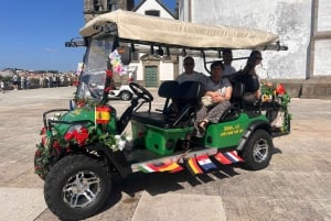 Wycieczka po Porto: sztuka uliczna i architektura 3 godz.