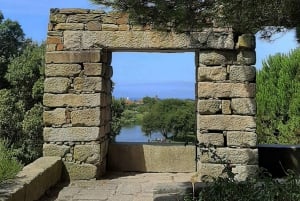 Wycieczka po Porto: sztuka uliczna i architektura 3 godz.