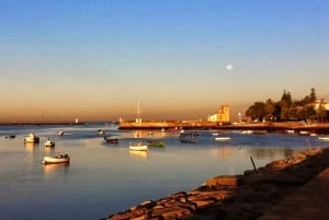 Wycieczka rowerowa o zachodzie słońca w Porto