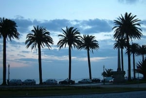 Wycieczka rowerowa o zachodzie słońca w Porto