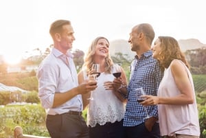 Porto : visite à pied au coucher du soleil, vin de Porto et vues panoramiques