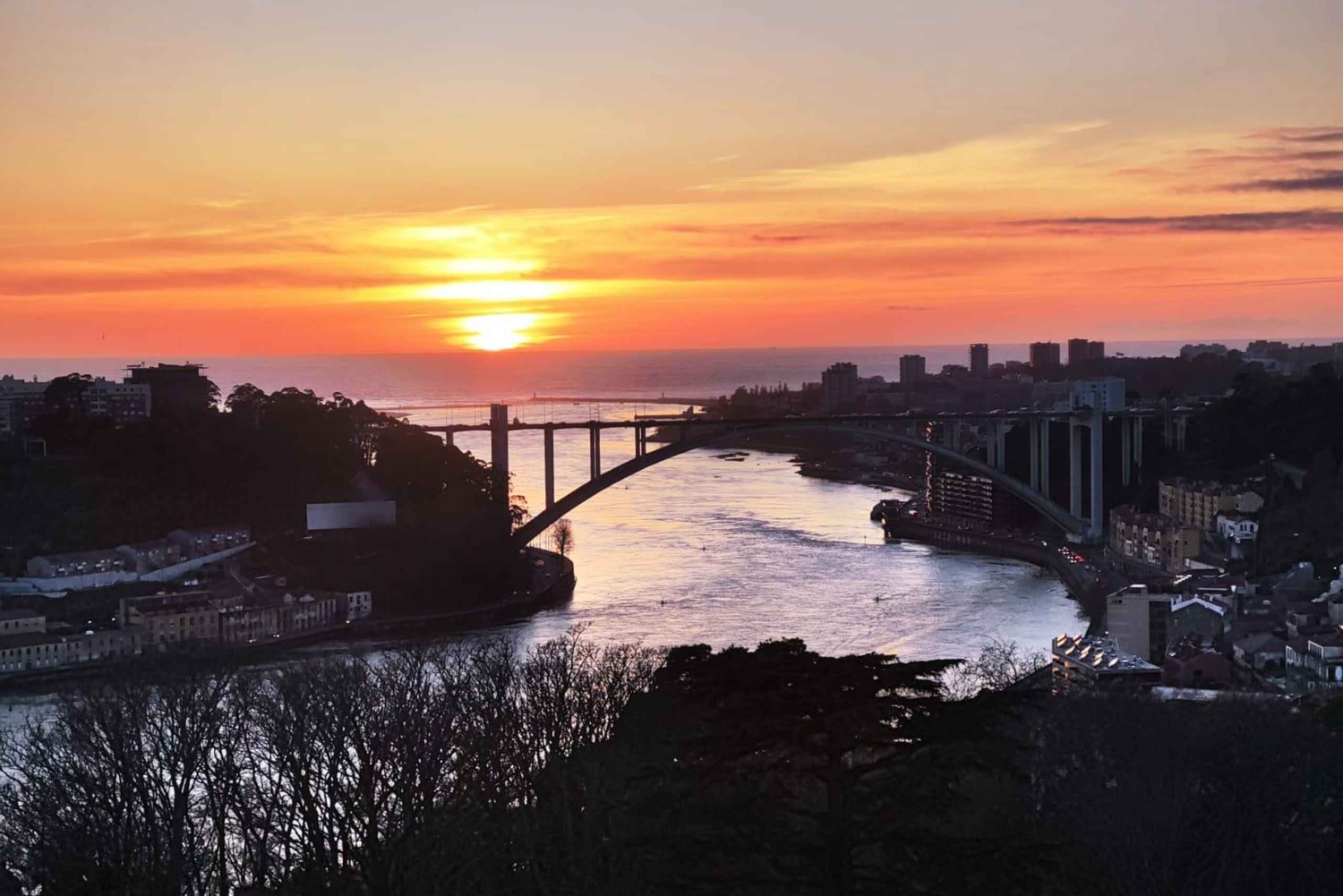 Porto: Super Bock Arena 20 minutters adgang til kuppelen