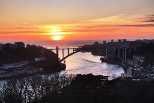 Porto: Super Bock Arena 20-minütiger Eintritt zur Kuppel