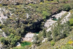 Porto: pływanie, piesze wycieczki, piknik w Parku Narodowym Gerês