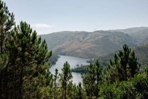 Porto: bading, fotturer, piknik i Gerês nasjonalpark