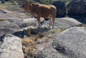 Porto: bading, fotturer, piknik i Gerês nasjonalpark