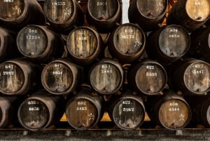 Oporto: visita a las bodegas de Taylor's y paquete del Museo WOW