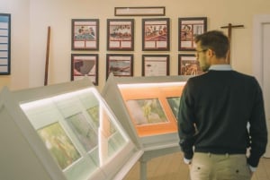 Oporto: visita a las bodegas de Taylor's y paquete del Museo WOW