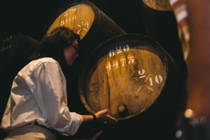Oporto: visita a las bodegas de Taylor's y paquete del Museo WOW