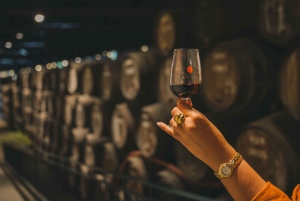 Porto: Taylor's Port Cellar Tour & WOW Museum Pack