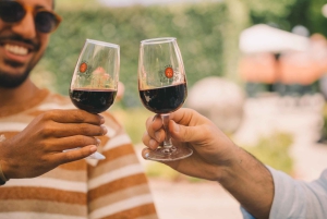 Porto: Taylor's Port Cellar Tour & WOW Museum Pack