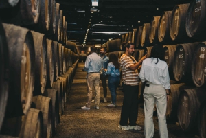 Porto: Taylor's Port Cellar Tour & WOW Museum Pack