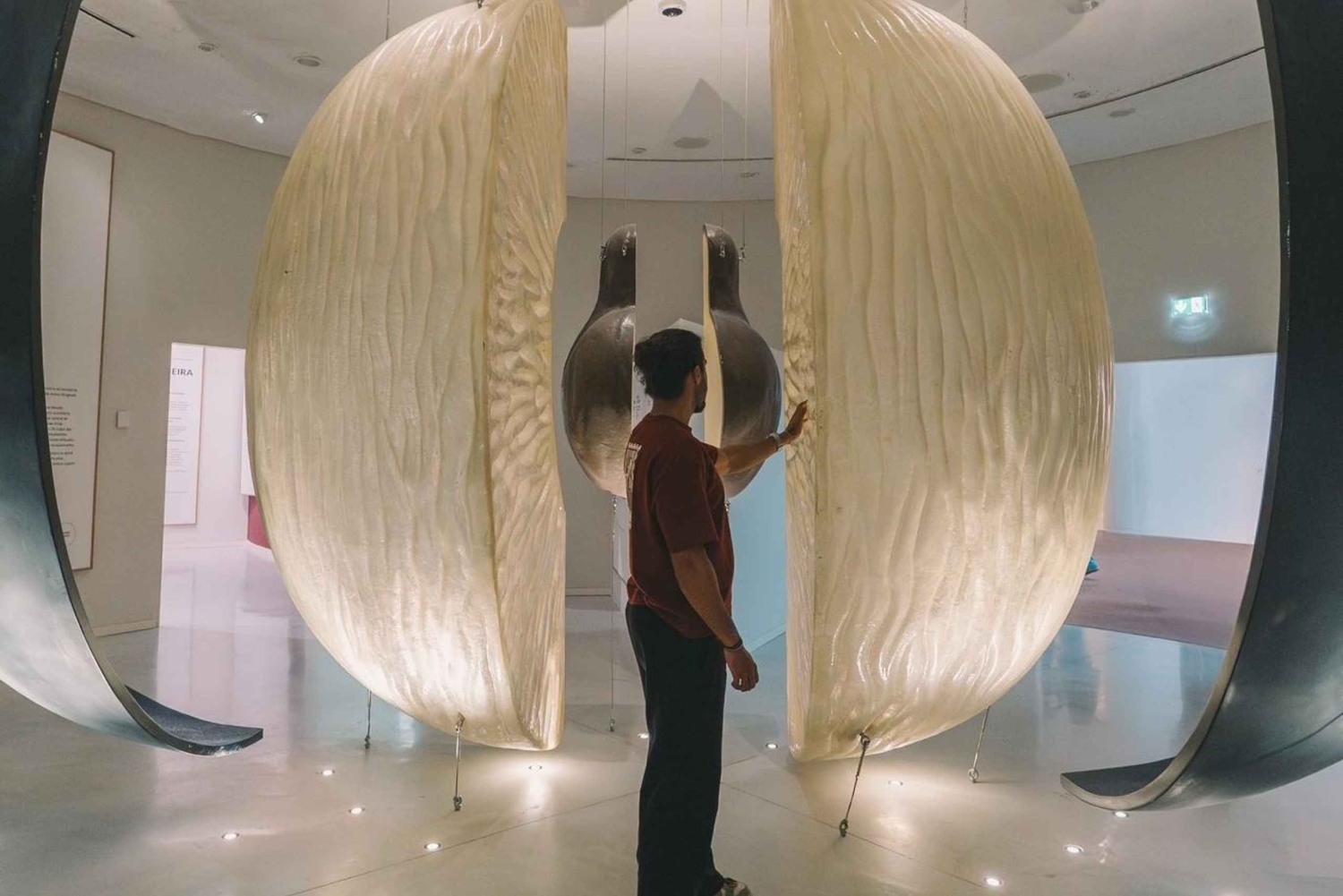 Porto: Taylor’s Port Cellar Tour & WOW The Wine Experience