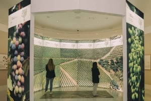 Porto: Taylor's Port Cellar Tour & WOW The Wine Experience