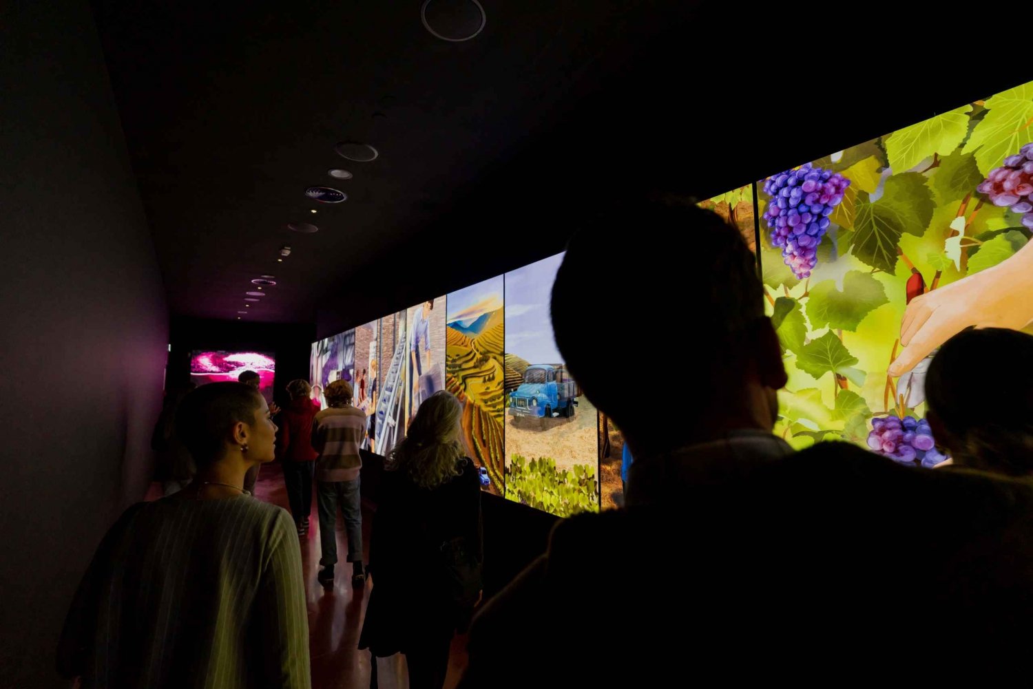 Oporto: visita a las bodegas Taylor's y WOW The Wine Experience