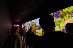 Porto: Taylor's Port Cellar Tour & WOW The Wine Experience