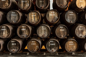 Porto: Taylor's Port Cellar Tour & WOW The Wine Experience