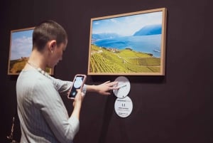 Porto: The Wine Experience, maailman paras viinimuseo