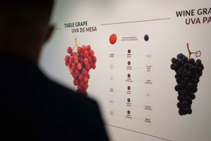 Porto: The Wine Experience, maailman paras viinimuseo
