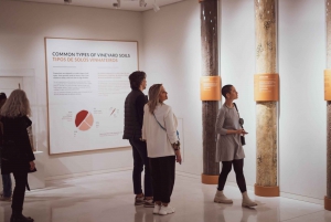 Porto: The Wine Experience, maailman paras viinimuseo