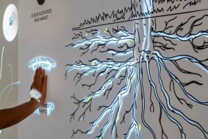 Porto: The Wine Experience, maailman paras viinimuseo