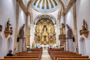Aveiro : balade en gondole et plage de Costa Nova – tout compris.