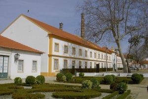 Aveiro : balade en gondole et plage de Costa Nova – tout compris.