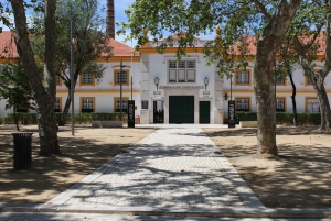 Aveiro : balade en gondole et plage de Costa Nova – tout compris.