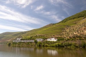 Da Porto a Cinfães do Douro: un'esperienza in bici gravel