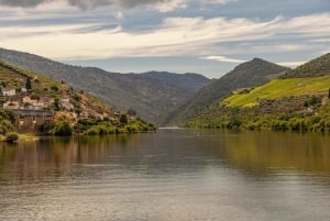 Da Porto a Cinfães do Douro: un'esperienza in bici gravel