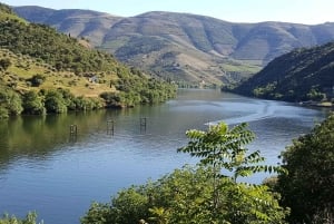 Da Porto a Cinfães do Douro: un'esperienza in bici gravel