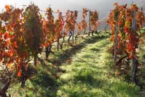 Da Porto a Cinfães do Douro: un'esperienza in bici gravel