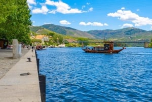 Da Porto a Cinfães do Douro: un'esperienza in bici gravel