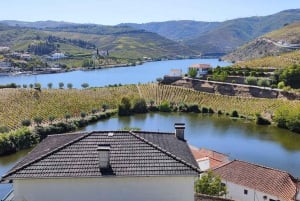 Da Porto a Cinfães do Douro: un'esperienza in bici gravel
