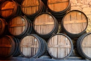 Da Porto a Cinfães do Douro: un'esperienza in bici gravel