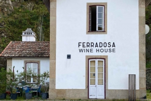 Privat omvisning i 4x4 fra Porto til Douro-dalen som en innfødt