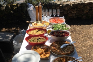 Privat omvisning i 4x4 fra Porto til Douro-dalen som en innfødt