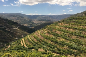 Privat omvisning i 4x4 fra Porto til Douro-dalen som en innfødt