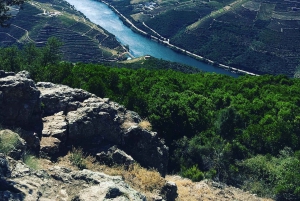 Privat omvisning i 4x4 fra Porto til Douro-dalen som en innfødt