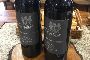 Privat omvisning i 4x4 fra Porto til Douro-dalen som en innfødt