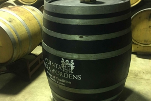 Privat omvisning i 4x4 fra Porto til Douro-dalen som en innfødt